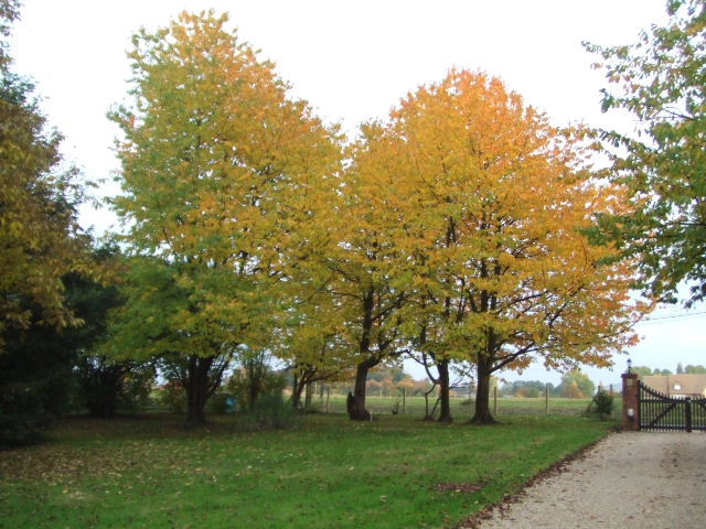 DSCF2829.JPG