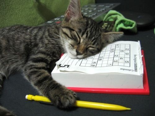 sudoku-difficile.jpg