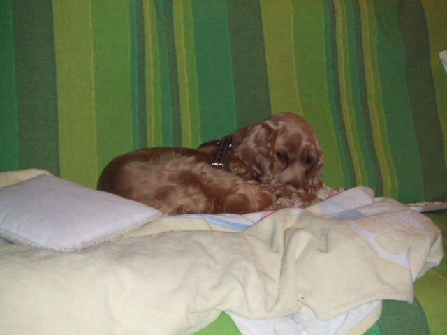 DSCF2848.JPG