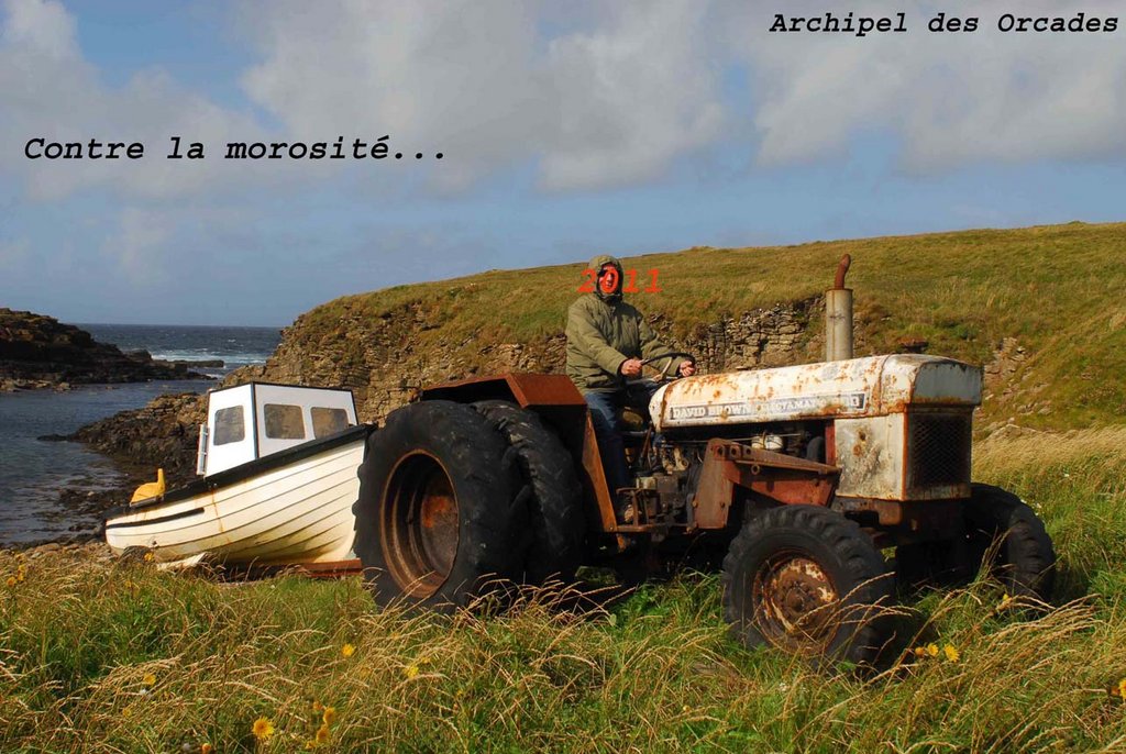 Voeux_2011.jpg