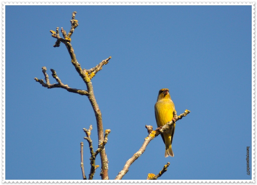 DSC_3085-2 [1024x768].jpg