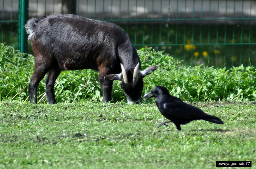 DSC_4137-1 [1024x768].jpg