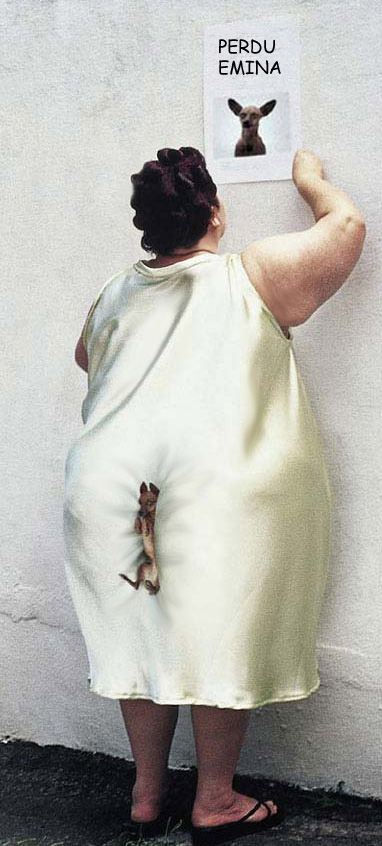 Perdu Emina.jpg