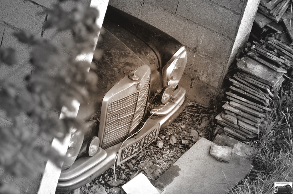 DSC_4961-1 [1024x768].jpg