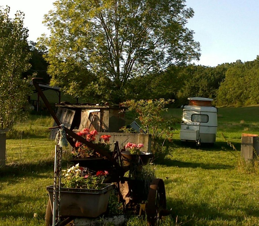 Ma puck dans son pré à Belmontet (46)