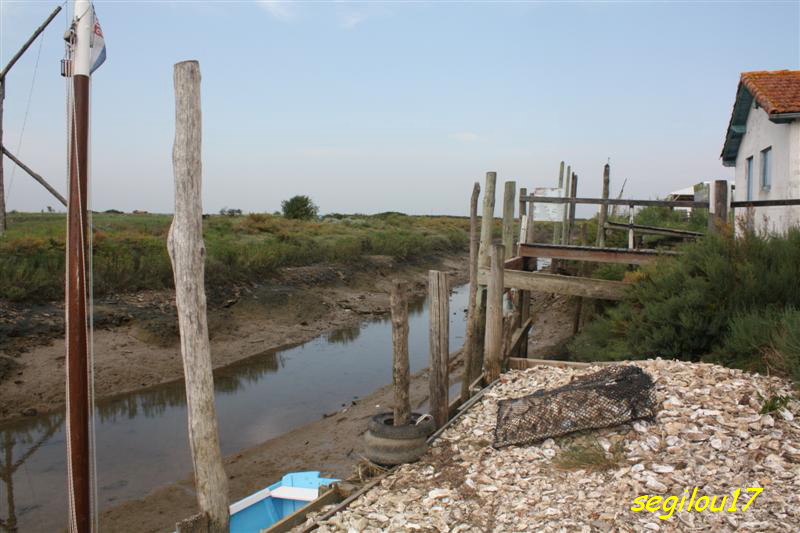 Situé dans la presqu'Ile d'Arvert, le petit port de Mornac sur Seudre