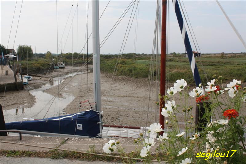 Situé dans la presqu'Ile d'Arvert, le petit port de Mornac sur Seudre