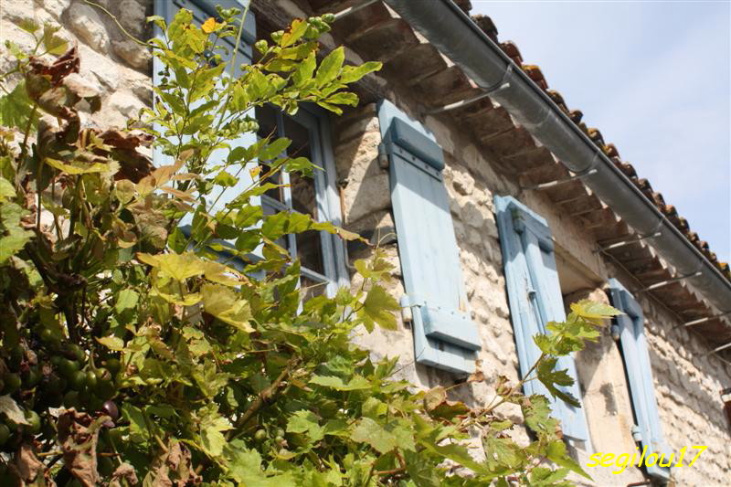 L'Inévitable village de Talmont