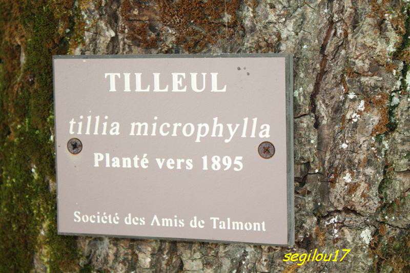 L'Inévitable village de Talmont