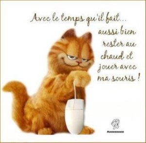 J'ai pô dis le contraire ! ! ! Non mais ! ! ! [800x600].jpg