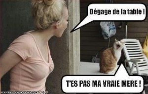Sur le net 1 [800x600].jpg