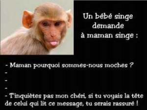 Ne nous fachons pas ! ! ! [800x600].jpg