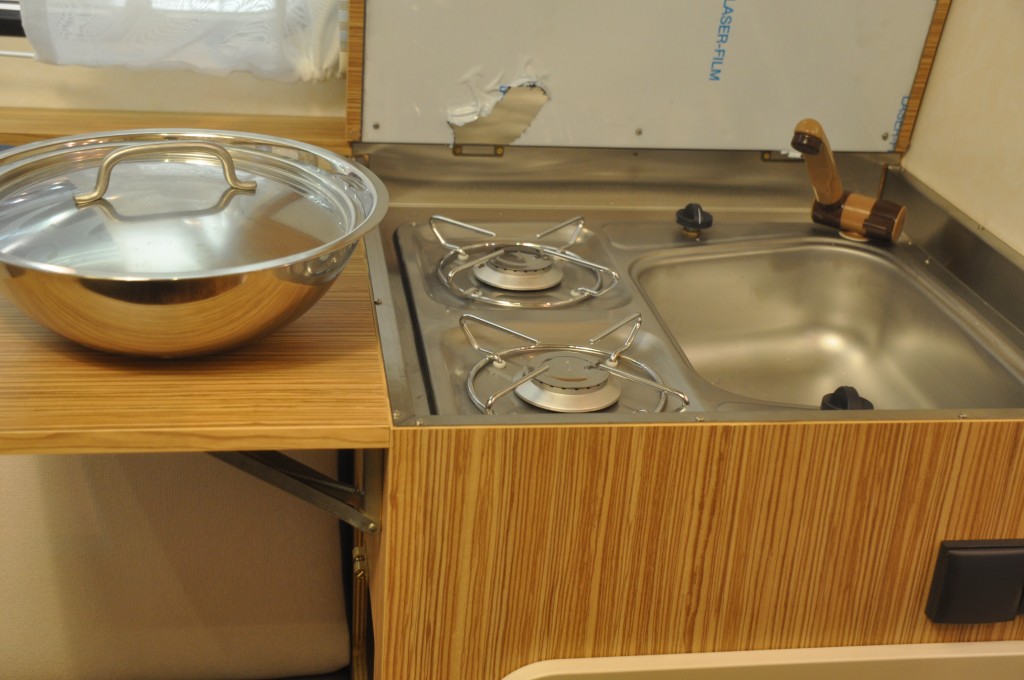 Nid d'hirondelle _6.JPG