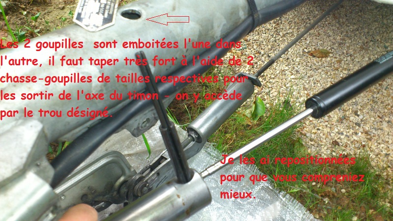 Timon Pan familia 03.JPG