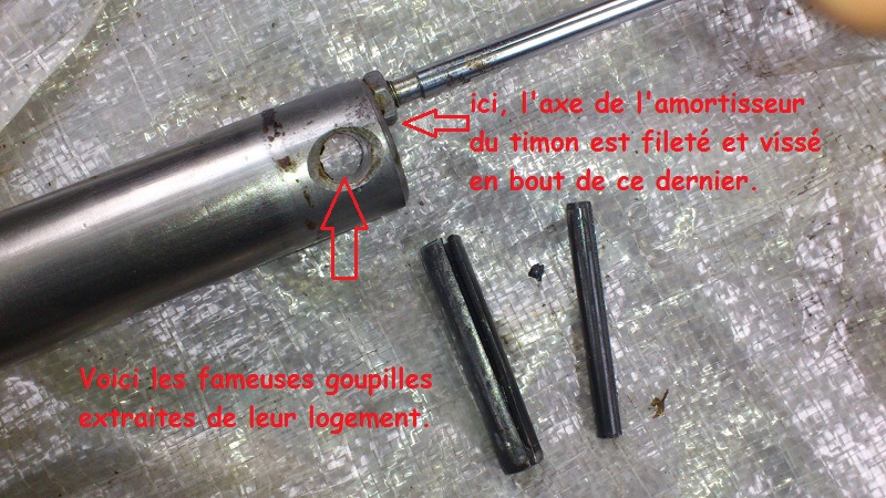 Timon Pan familia 04.JPG