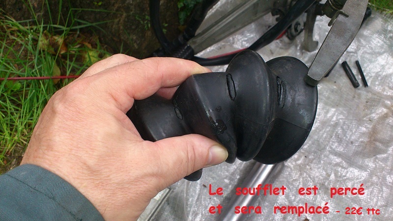 Timon Pan familia 06.JPG