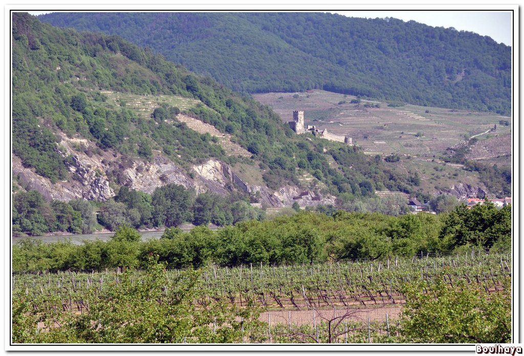 Wachau_04.jpg