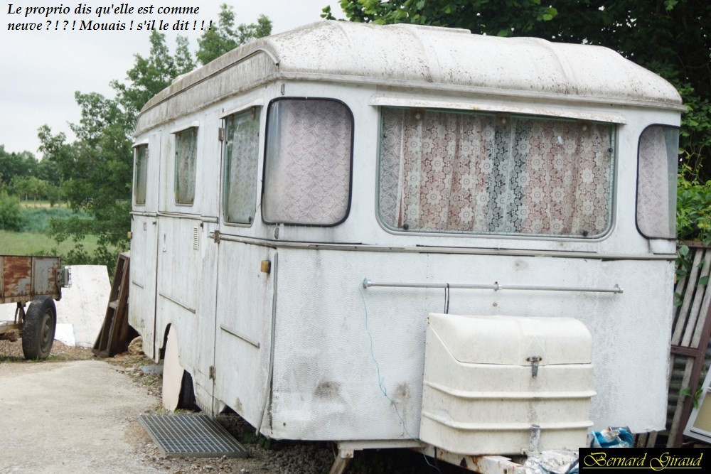 DSC01252 [1024x768].JPG