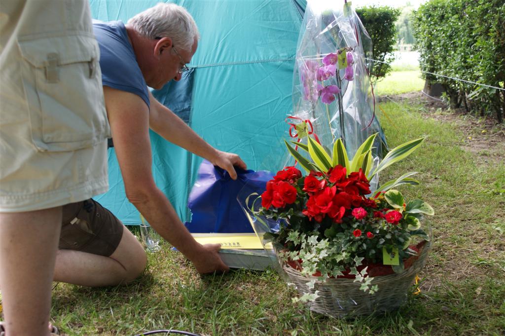 DSC03435 (Large).JPG