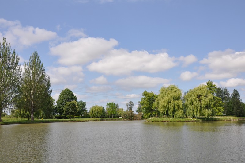 Bourgueil (1).jpg