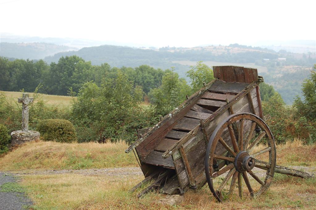 Photo 010 (Large).jpg