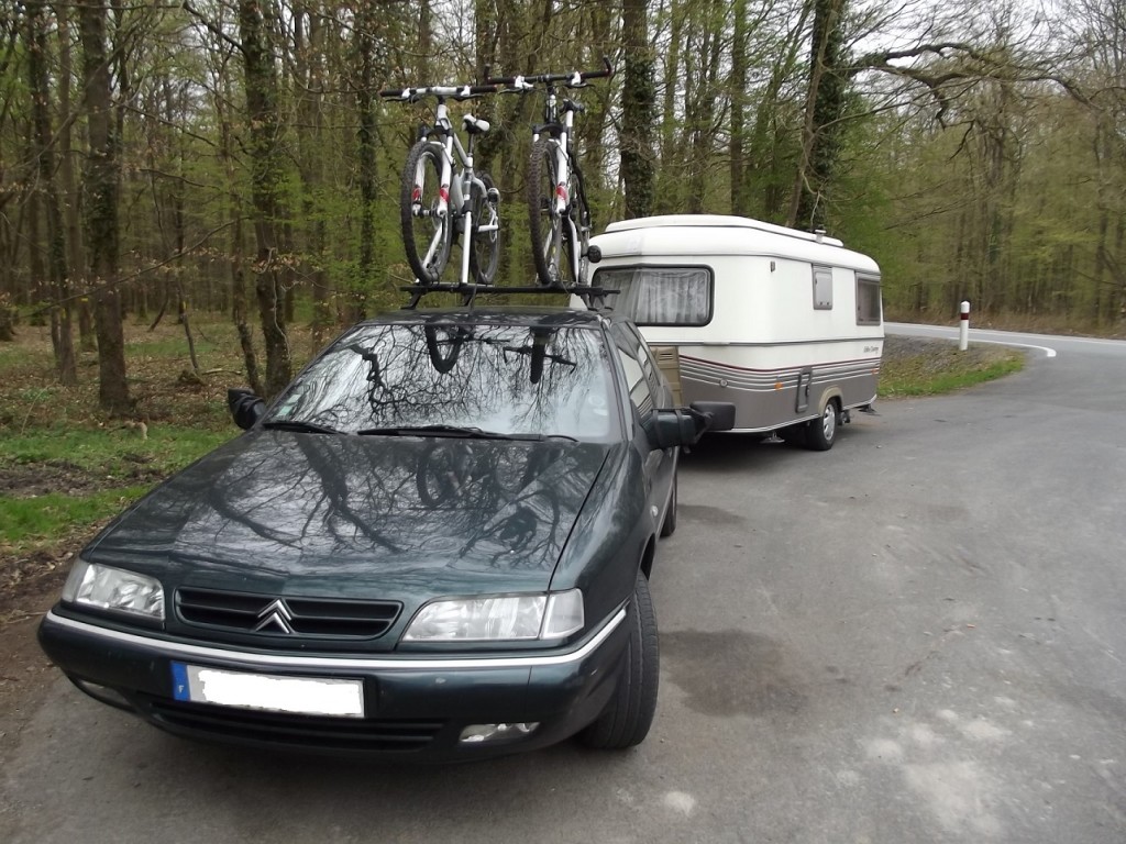 DSCF0204bis.jpg