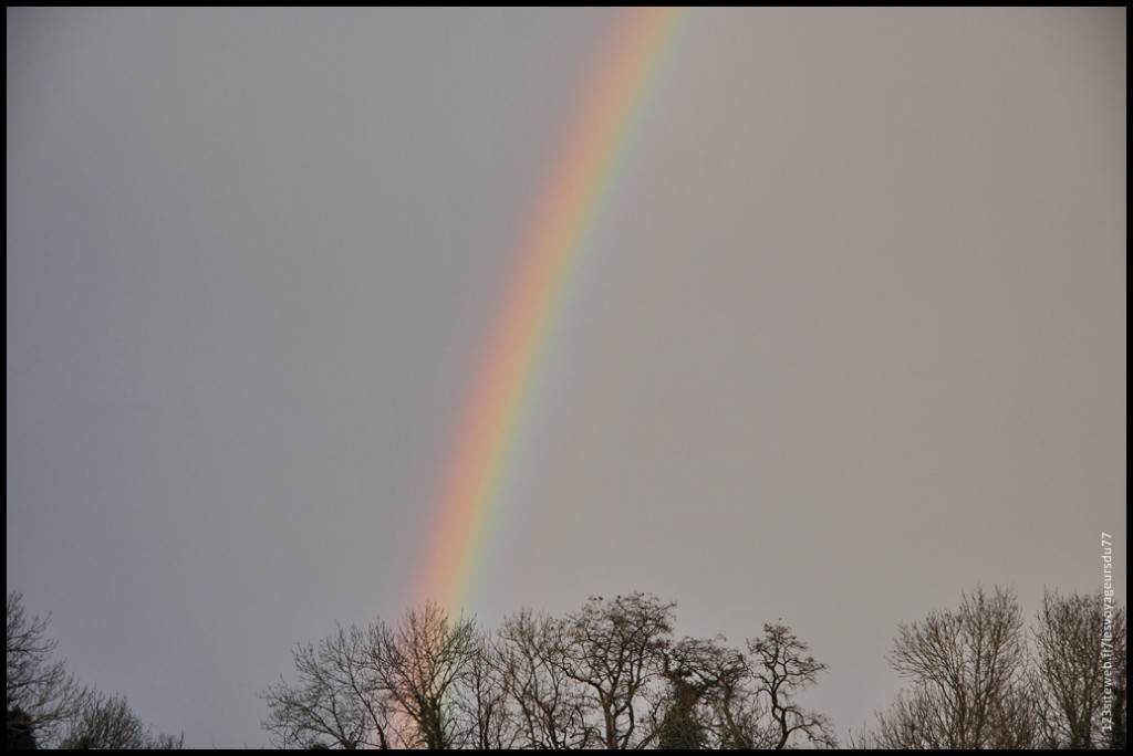 DSC_arc [1024x768].jpg