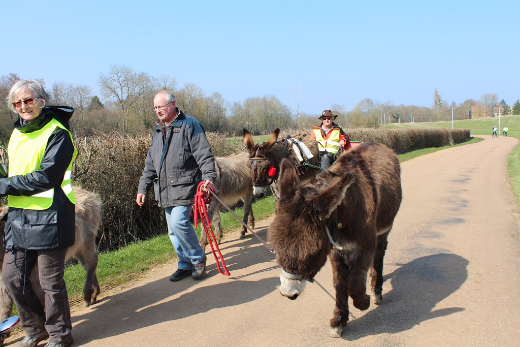 les ânes et les cyclotes (24) (Copier).JPG