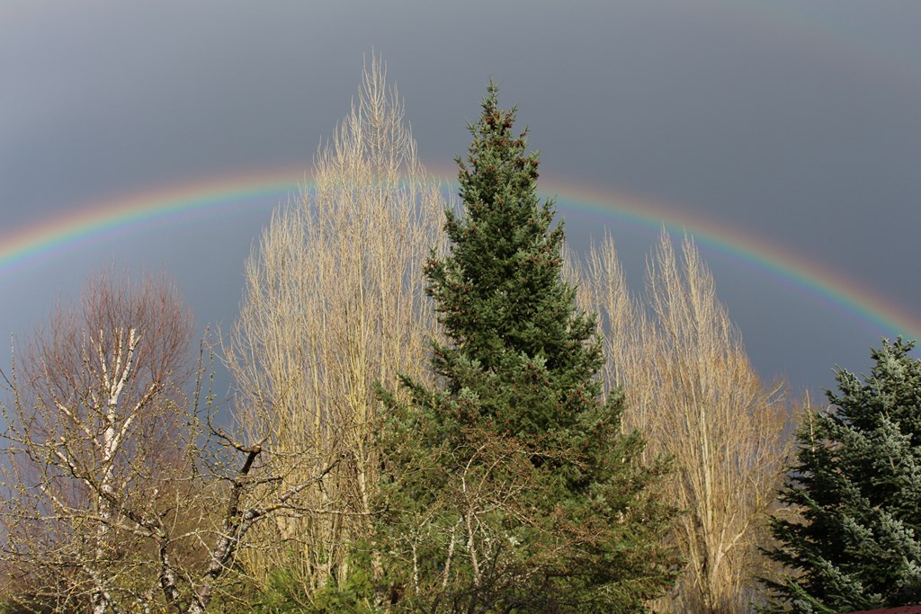 désirée 024 (Copier).JPG