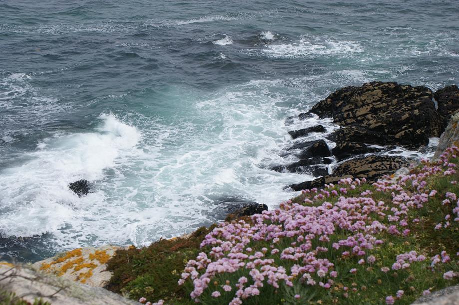 du côté de quiberon