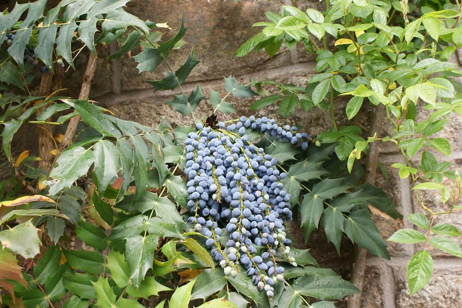 DSC03290&.JPG
