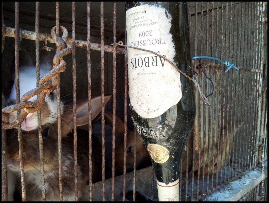 2013-07-07 13.15.52 [1024x768].jpg