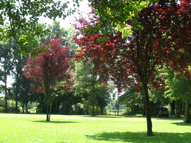 IMG_0633 (Copier).JPG