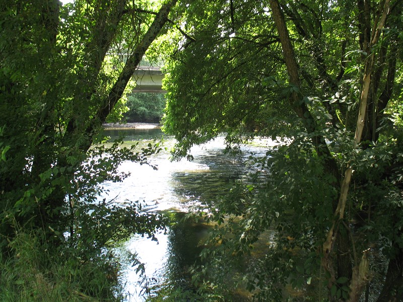 IMG_0641 (Copier).JPG