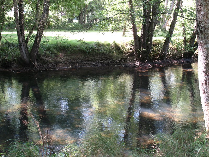 IMG_0642 (Copier).JPG