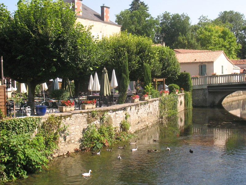 IMG_0767 (Copier).JPG