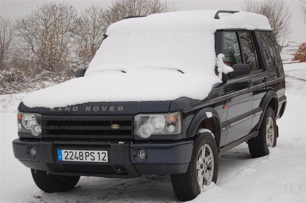 Novembre 2010 047 (Large).jpg