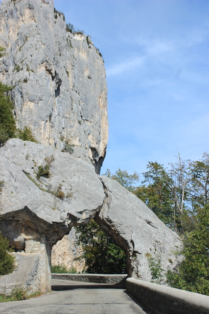 toujours le cirque
