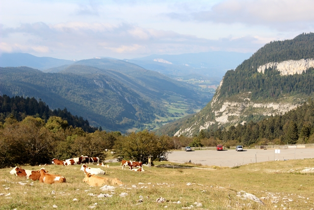 toujours le plateau de beurre