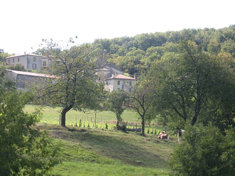 IMG_1341 (Copier).JPG