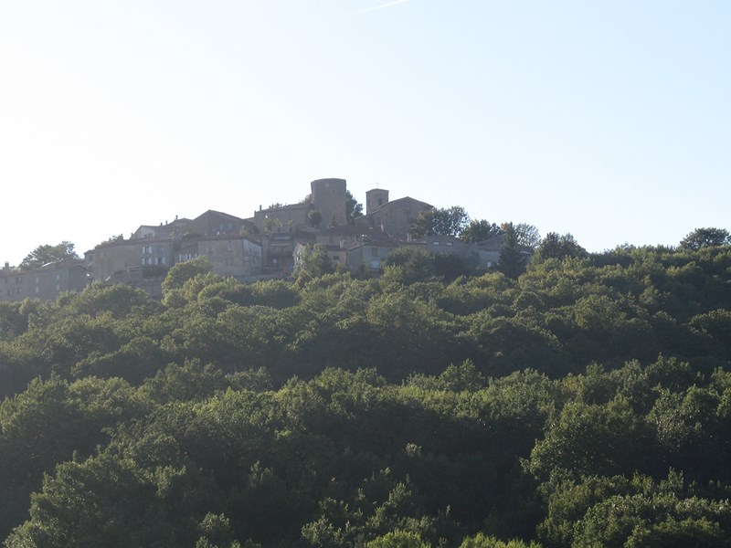 IMG_1375 (Copier).JPG