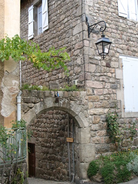 IMG_1493 (Copier).JPG