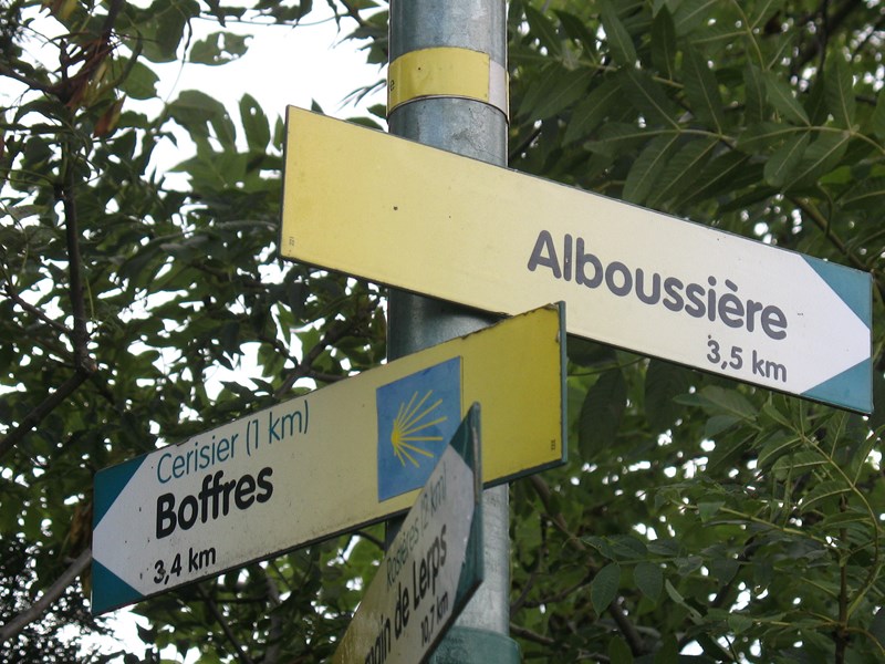 IMG_1537 (Copier).JPG