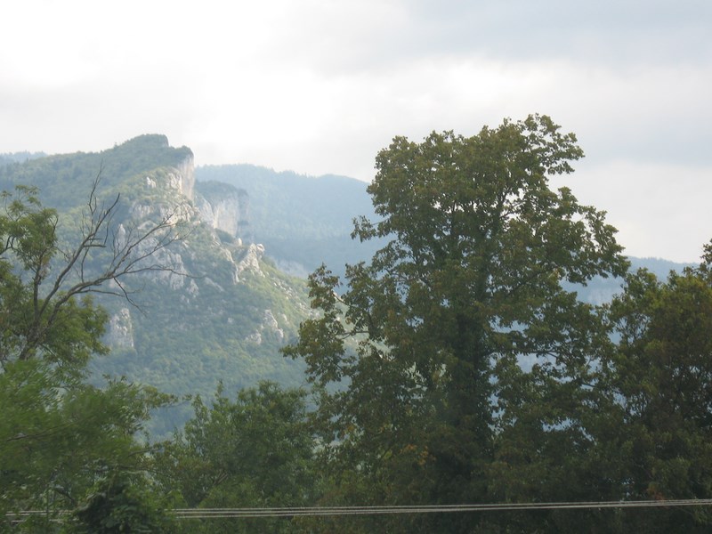 IMG_1574 (Copier).JPG