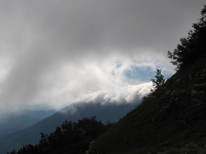 IMG_2298 (Copier).JPG