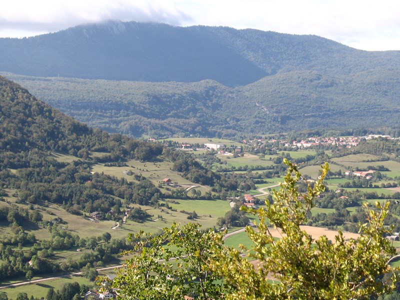 IMG_2265 (Copier).JPG