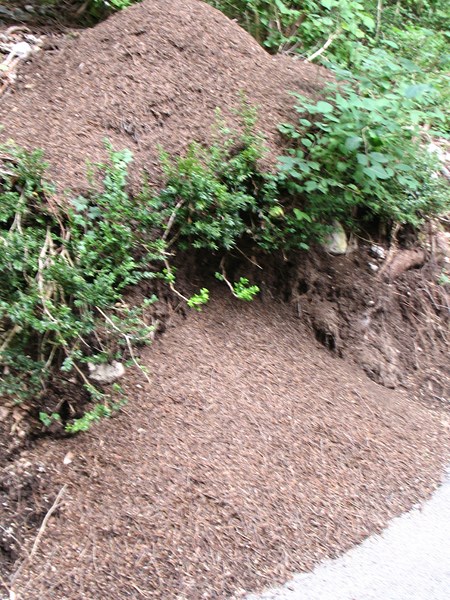 IMG_2283 (Copier).JPG