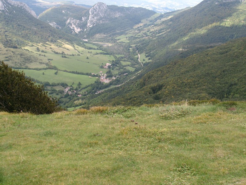 IMG_2206 (Copier).JPG