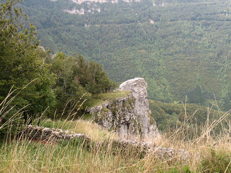 IMG_2214 (Copier).JPG