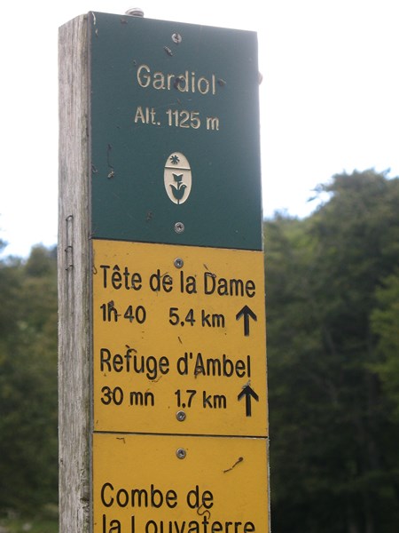 IMG_2224 (Copier).JPG